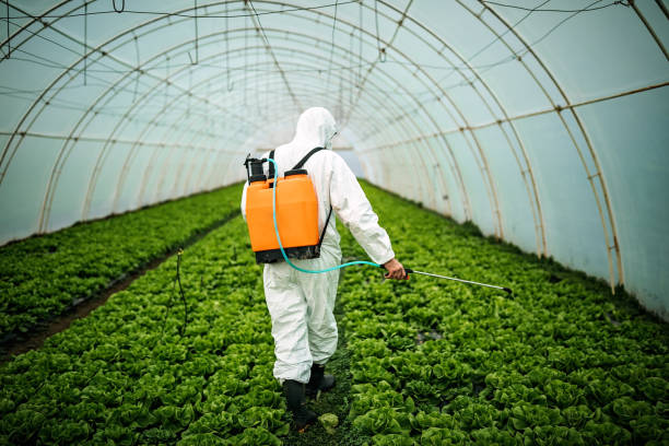Best Pest Control Cost  in Morn, GA