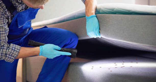 Best Flea Control Services  in Morn, GA