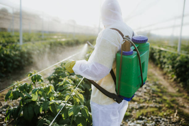 Pest Prevention Services in Morgan, GA